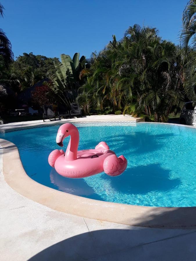 Вилла Casa Flamingo Лас Терренас Экстерьер фото